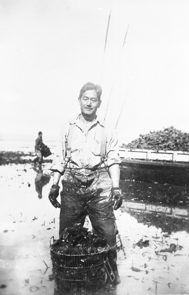 牡蠣の養殖者　（1937年、ワシントン州ニマ）