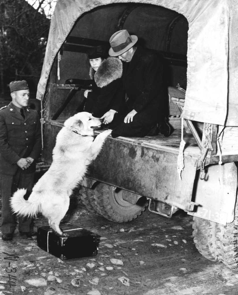 立ち退きの日－飼い犬に別れを告げる家族　（1942年、ワシントン州ベンブリッジ島）